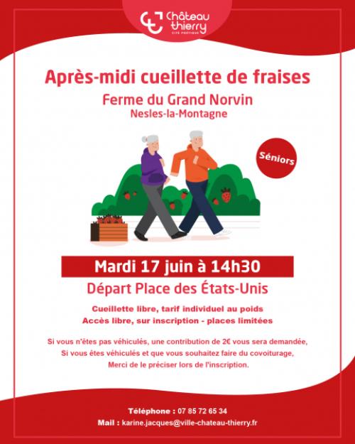 Après-Midi Cueillette des fraises